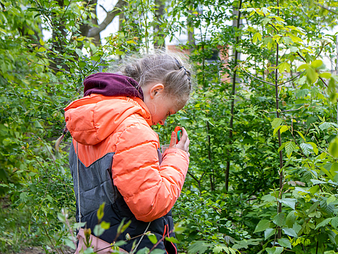 Mädchen steht im Wald und schaut konzentriert in Becherlupe