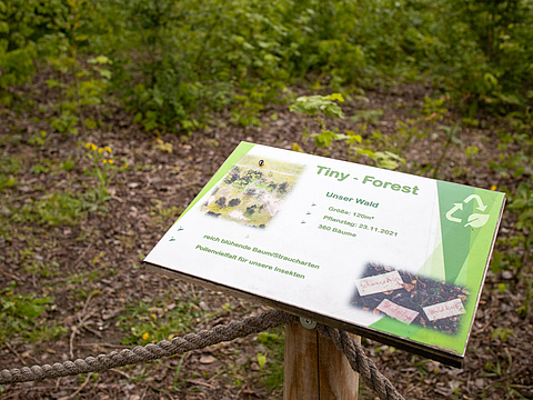 Beschilderung des Tiny Forest